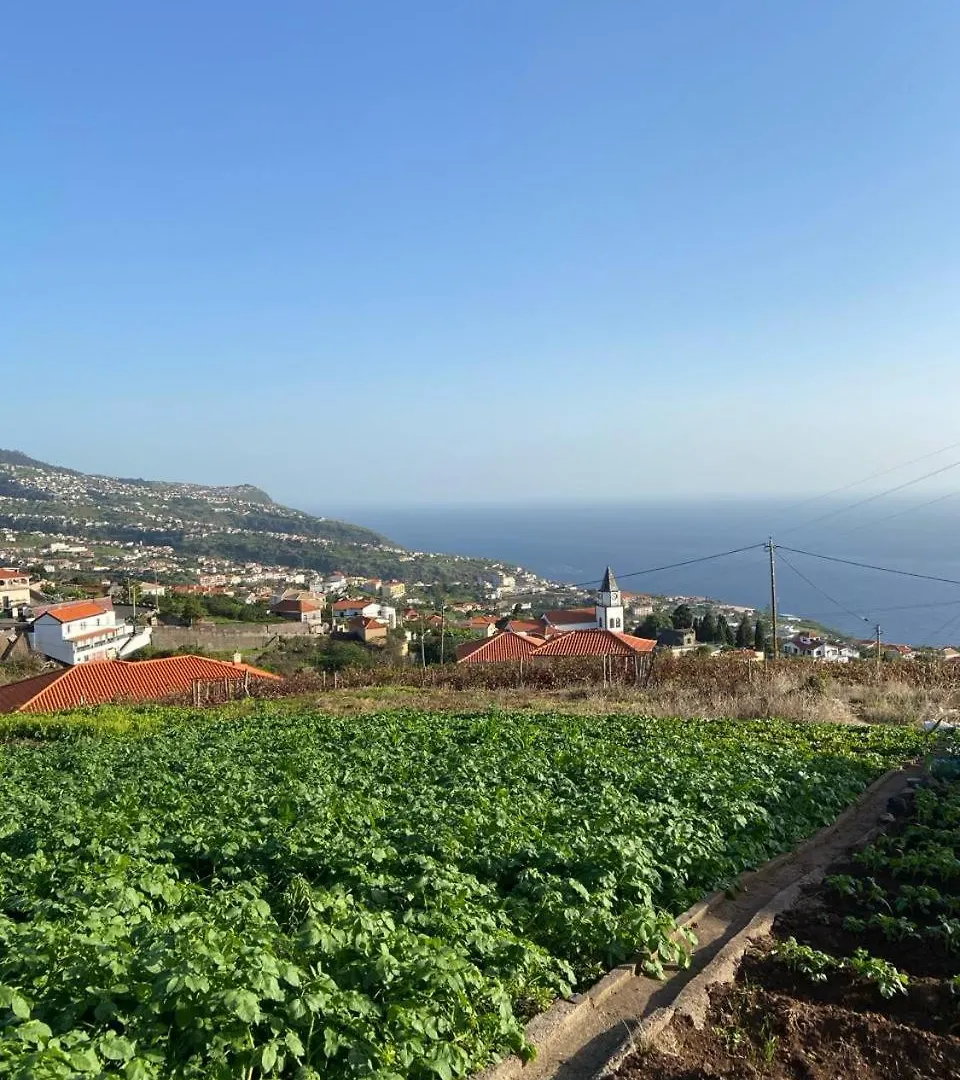 Guest House Santinhos Estreito Da Calheta Prázdninový dům